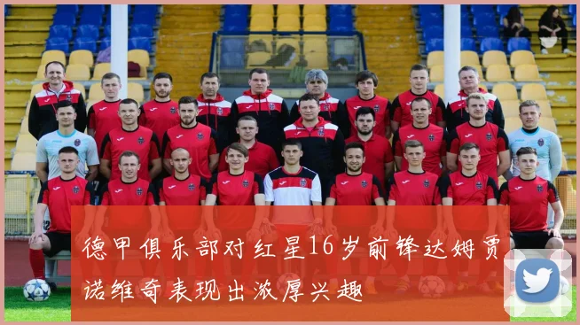 德甲俱乐部对红星16岁前锋达姆贾诺维奇表现出浓厚兴趣