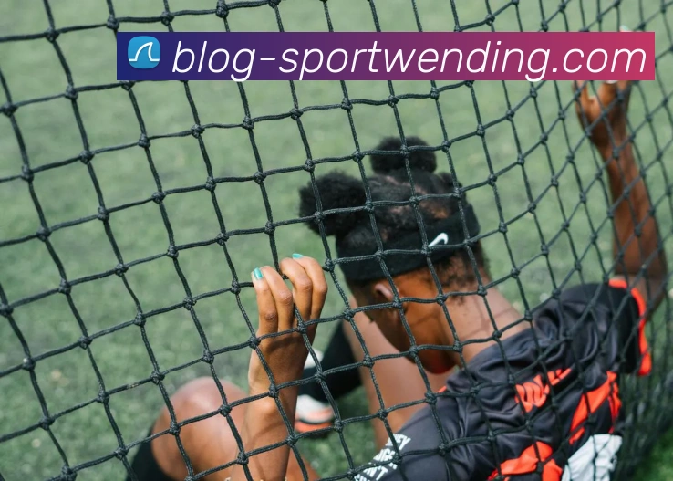 问鼎娱乐平台生态图